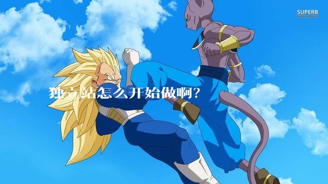 独立站怎么开始做啊？