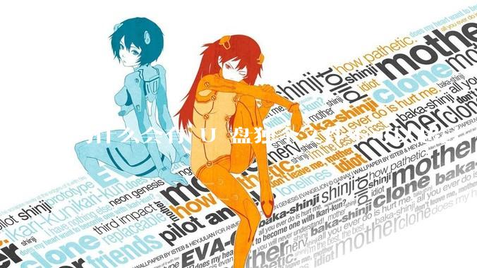 为什么会有 U 盘独个文件不可以超过 4GB 这种设定？