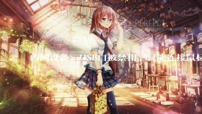 内网设备，USB口被禁用，只能连接鼠标和键盘，有什么办法可以实现数据拷入？