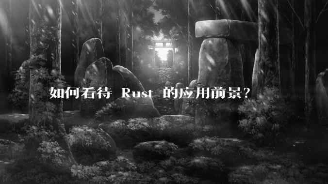 如何看待 Rust 的应用前景？